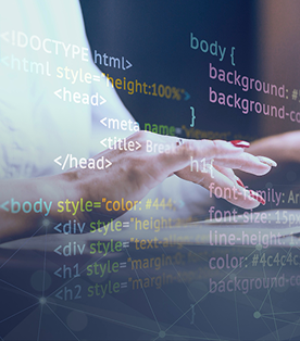 website development company in india