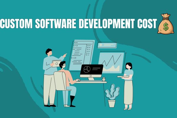 CUSTOM SOFTWARE DEVELOPMENT COST