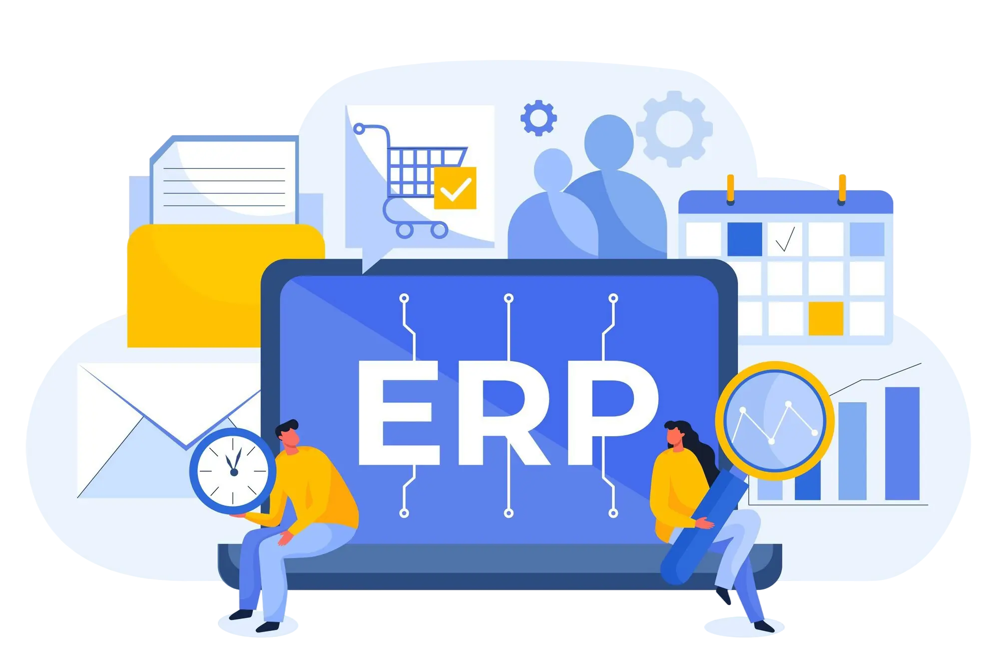 Custom ERP Software Development, ERP Software Development Services