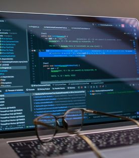custom erp development