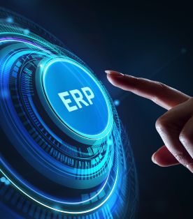 custom erp software development